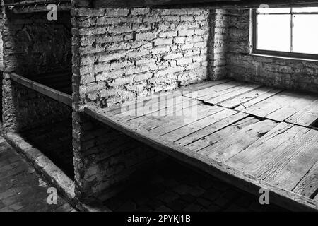 Posti letto all'interno della caserma nel campo di sterminio in Polonia dal tempo della seconda guerra mondiale Foto Stock