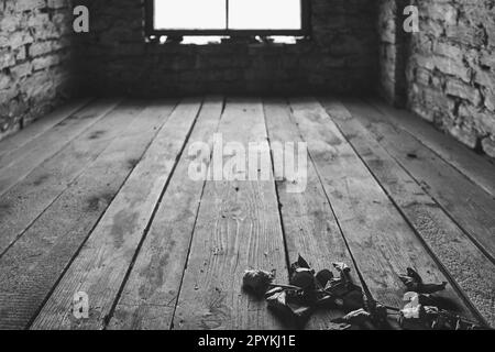 Posti letto all'interno della caserma nel campo di sterminio in Polonia dal tempo della seconda guerra mondiale Foto Stock