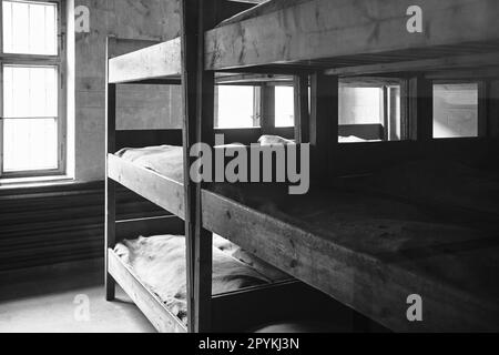 Posti letto all'interno della caserma nel campo di sterminio in Polonia dal tempo della seconda guerra mondiale Foto Stock