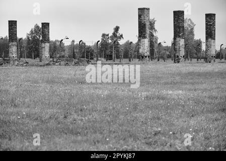 crematori camini nel campo di concentramento storico e atrocità tedesche in polonia. Foto in bianco e nero. Foto Stock