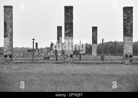 crematori camini nel campo di concentramento storico e atrocità tedesche in polonia. Foto in bianco e nero. Foto Stock