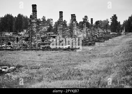 crematori camini nel campo di concentramento storico e atrocità tedesche in polonia. Foto in bianco e nero. Foto Stock