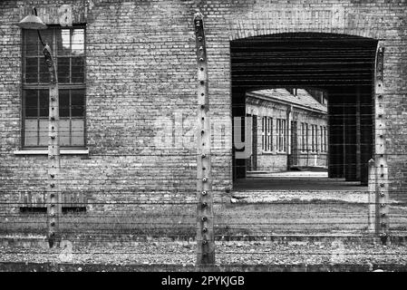 Edifici, caserme e sentieri nel campo di sterminio in Polonia dalla seconda guerra mondiale Foto Stock