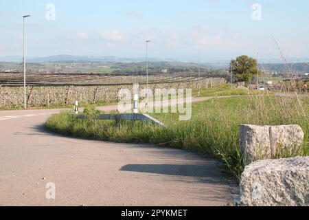 Blocchi bianchi di roccia su una strada di campagna ai piedi delle Alpi con un prato naturale, un frutteto di mele e le montagne lontane Foto Stock