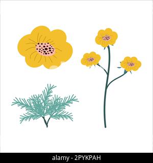 disegno a mano stile california papavero margherita in un set Illustrazione Vettoriale