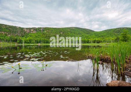 Parco Nazionale di Acadia nel Maine Foto Stock