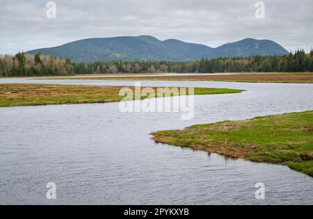 Parco Nazionale di Acadia nel Maine Foto Stock
