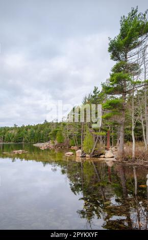 Parco Nazionale di Acadia nel Maine Foto Stock