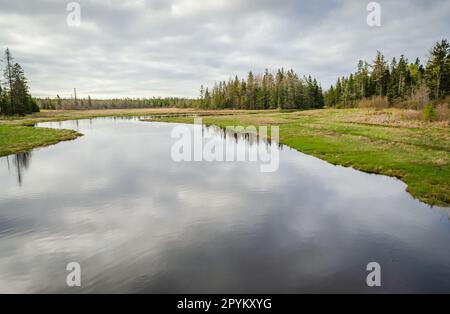 Parco Nazionale di Acadia nel Maine Foto Stock