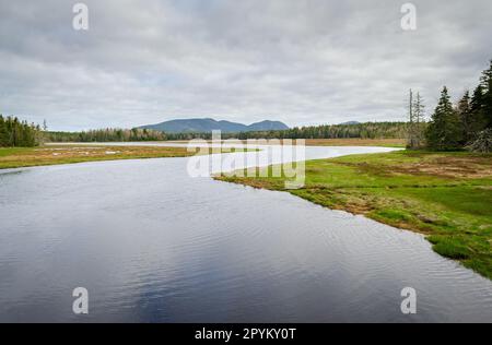 Parco Nazionale di Acadia nel Maine Foto Stock