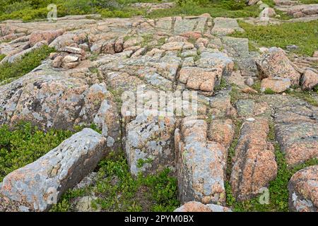 Acadia National Park, Maine, Stati Uniti. Il granito dell'isola del deserto del Monte è stato generato circa 420 Mya, con uno dei più vecchi corpi del granito che è Cadillac Mo Foto Stock
