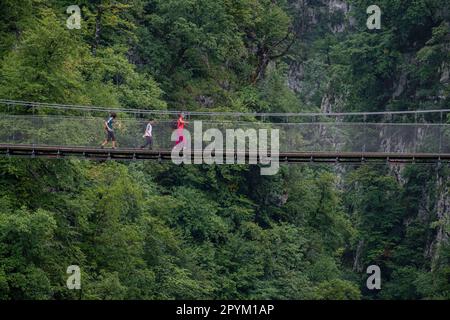 pasarela d’Holtzarte, gargantas de Holzarté, Larrau, región de Aquitania, departamento de Pirineos Atlánticos, Francia Foto Stock