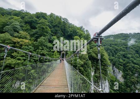 pasarela d’Holtzarte, gargantas de Holzarté, Larrau, región de Aquitania, departamento de Pirineos Atlánticos, Francia Foto Stock