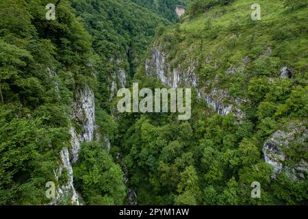 Gargantas de Holzarté, Larrau, Región de Aquitania, departamento de Pirineos Atlánticos, Francia Foto Stock