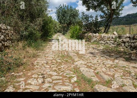 camino de Bànyols, Alaró, Maiorca, Isole Baleari, Spagna Foto Stock