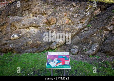 Rocce vulcaniche a Litton Mill Railway taglio sul Monsal Trail, Peak District National Park, Derbyshire, Inghilterra Foto Stock