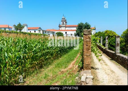 Monastero Di San Martino Di Tibaes, Campo Di Corn, Braga, Minho, Portogallo Foto Stock