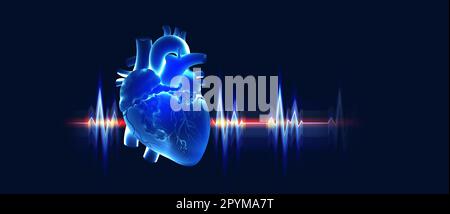 Allenamento cardio. Illustrazione del cuore umano 3D. Polso, battito cardiaco. Stress cardiaco. Illustrazione medica radiologica Foto Stock