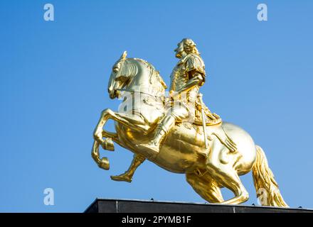 La scultura Goldener Reiter a Dresda (costruita nel 18th ° secolo) ., Dresda, Sachsen, Deutschland Foto Stock