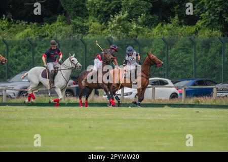 I giocatori di polo a cavallo si vedono giocare su un campo in un pittoresco parco. Foto Stock