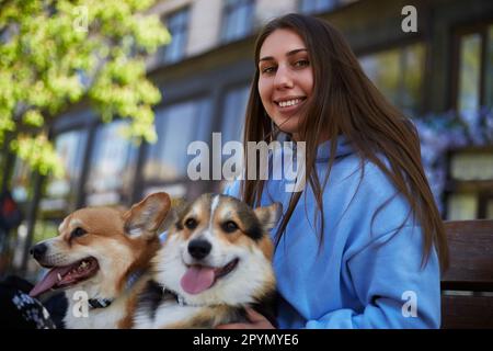Felice proprietario del cane seduto su una panca con due adorabili corgis. Giovane donna allegra in posa con un paio di carini Pembroke gallese Corgi cani Foto Stock