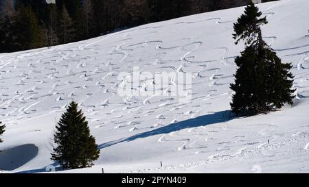 Piste da sci su una pista off-pista nelle Alpi Foto Stock