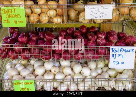 Una varietà di cipolle per la vendita in metallo baxkets in un mercato all'aperto. Foto Stock