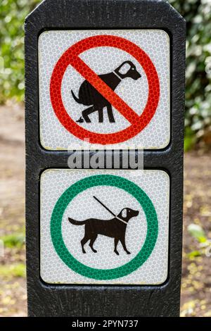 Cartello con pittogrammi per cani non autorizzati a defecare e cani devono essere al guinzaglio sul sentiero nel bosco, Hilversum, Paesi Bassi Foto Stock