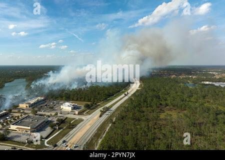 Il fuoco selvaggio brucia gravemente durante la stagione invernale secca nella città di North Port, Florida. Fumo denso che sale sopra le case dei sobborghi Foto Stock