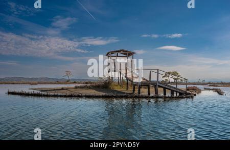 Piattaforma di osservazione nel Parco Nazionale della Laguna di Divjake-Karavasta in Albania. Bellissimo paesaggio. concetto di viaggio Foto Stock