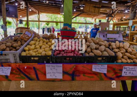 Bryson, North Carolina, USA - 19 aprile 2023: Darnell Farms mercato all'aperto che vende patate seduti in casse di plastica su un tavolo. Foto Stock