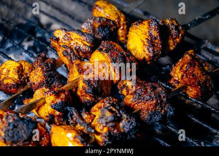 Nepalese cibo e spuntini dal Bhaat, Sekuwa, Khaja set, Mo mo, gnocchi, Chhoila, patate, formaggio Foto Stock