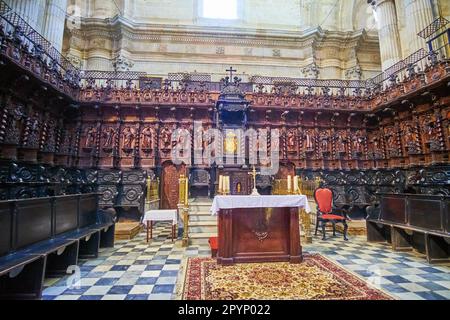 CADICE, SPAGNA - 21 SETTEMBRE 2019: Il coro ligneo ornato della Cattedrale di Cadice con ricche decorazioni scolpite, il 21 settembre a Cadice Foto Stock