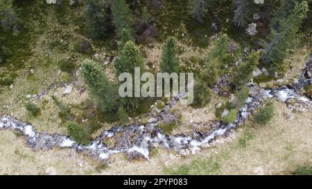 Kleiner Gebirgsbach, welcher sich zwischen den Bäumen durch ins tal schlängelt Foto Stock