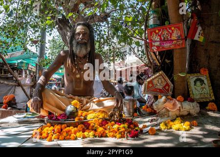 Un Sadhu alla fiera del cammello di Pushkar, Pushkar, Rajasthan, India Foto Stock