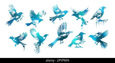 Set di uccelli acquerelli blu volanti. Illustrazione vettoriale Illustrazione Vettoriale