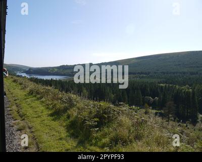 Taf Fechan Reservoir o Pontsticill Reservoir (Cronfa Pontsticill), visto dalla Ferrovia di Brecon Mountain (Rheilffordd Mynydd Brycheiniog) Foto Stock