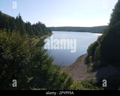 Taf Fechan Reservoir o Pontsticill Reservoir (Cronfa Pontsticill), visto dalla Ferrovia di Brecon Mountain (Rheilffordd Mynydd Brycheiniog) Foto Stock