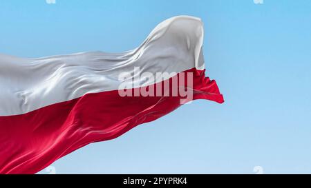 La bandiera nazionale della Polonia sventola nel vento in una giornata limpida. Due strisce orizzontali di uguale larghezza: Bianco in alto e rosso in basso. 3d illustrat Foto Stock