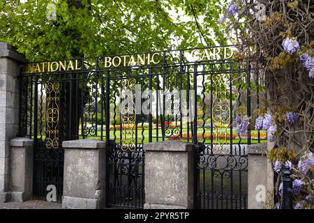 Cartello e recinzione all'ingresso dei Giardini Botanici nazionali di Dublino, Irlanda. Foto Stock