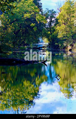 Gli alberi caduti hanno sparso una sezione del Chesapeake e del parco storico nazionale del canale dell'Ohio adiacente al fiume Potomac vicino a Cumberland, Maryland. Foto Stock