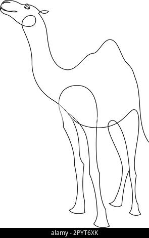 Disegno continuo di una linea dell'animale del cammello. Disegno a mano con una linea nera su sfondo bianco. Illustrazione vettoriale Illustrazione Vettoriale