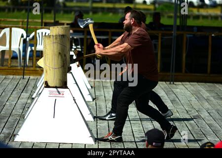 Auckland, Nuova Zelanda - Mar 2023. Lumberjack sport praticare in un parco pubblico. Timbersports è molto popolare in Nuova Zelanda Foto Stock