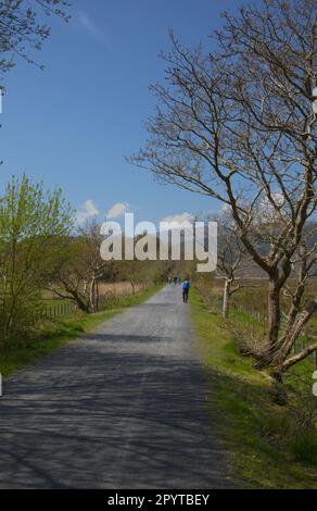 Il sentiero estuario Mawddach a Snowdonia Foto Stock