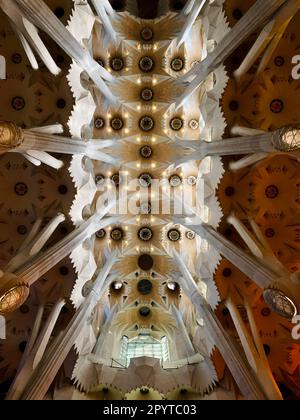 Un soffitto stilizzato a cattedrale caratterizzato da un'alta colonna e da una finestra rotonda, che crea un'atmosfera maestosa Foto Stock