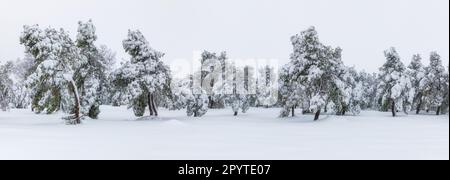 Lago di Getafe dopo la tempesta filomena a Madrid. Foto Stock