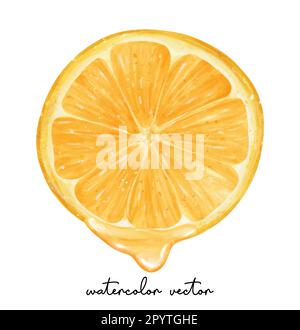 Rinfresco pezzo di frutta d'arancia con acquerello liwuid pittura a mano semi realistic illustrazione vettore isolato su sfondo bianco. Illustrazione Vettoriale
