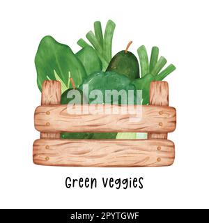gruppo di verdure verdi assortite acquerello in legno cestello contenitore giardino dipinto a mano isolato su sfondo bianco. Illustrazione Vettoriale