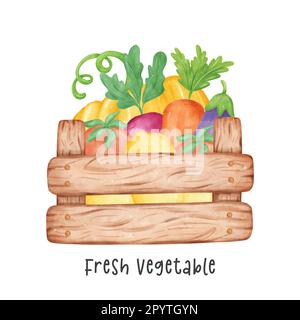 gruppo di assortiti freschi colorati acquerelli vegetali in legno contenitore giardino cartone vettoriale dipinto a mano illustrazione isolata su sfondo bianco Illustrazione Vettoriale