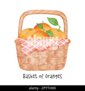 gruppo di acquerelli di frutti d'arancio in cesto di vimini vintage in legno, cartoni animati vettoriali dipinti a mano, isolati su sfondo bianco. Illustrazione Vettoriale